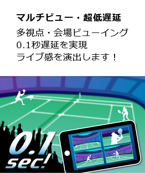 マルチビュー・超低遅延